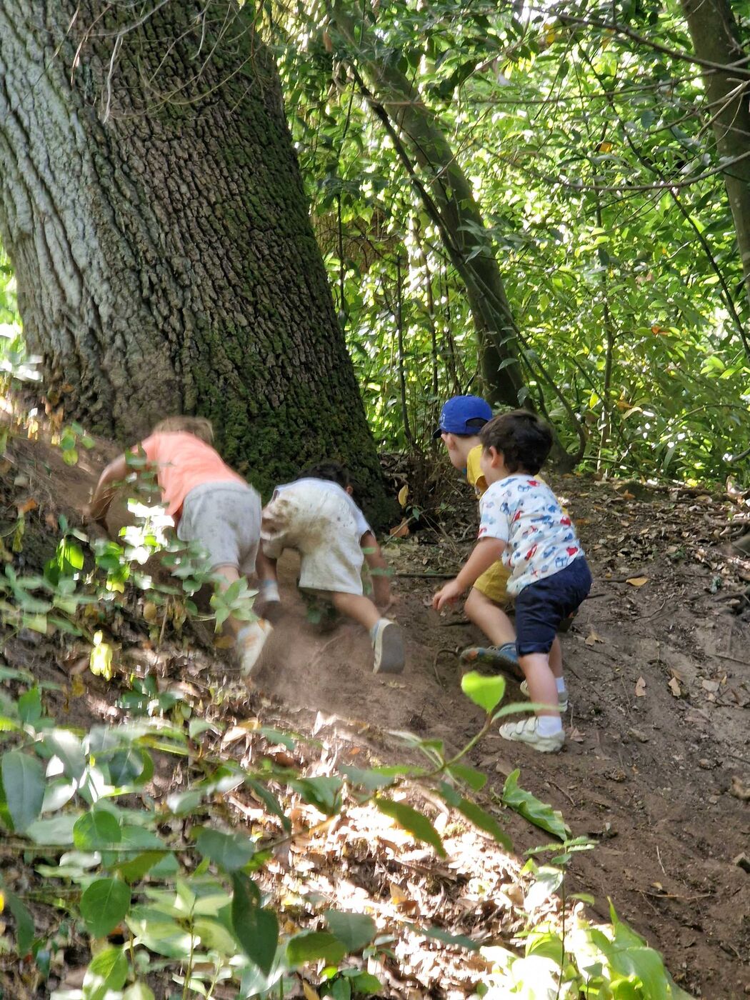 Serra do Louro — fotografia 3